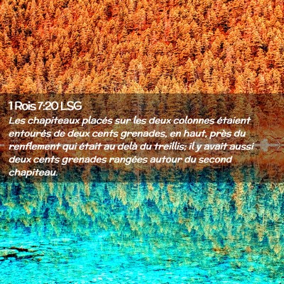 Picture 02 - 1 Rois 7:20 LSG - Les chapiteaux placés sur les deux colonnes - Bible Verse Picture