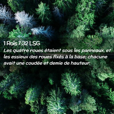Picture 02 - 1 Rois 7:32 LSG - Les quatre roues étaient sous les panneaux, et - Bible Verse Picture