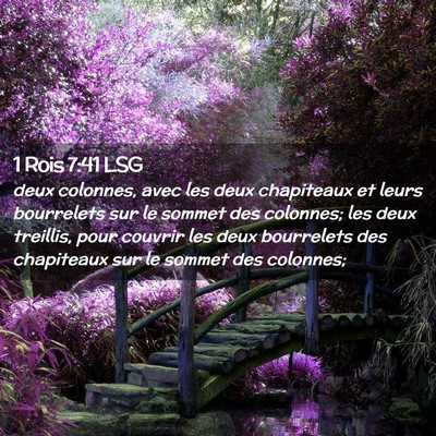 Picture 02 - 1 Rois 7:41 LSG - deux colonnes, avec les deux chapiteaux et leurs - Bible Verse Picture