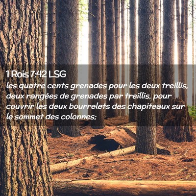 Picture 02 - 1 Rois 7:42 LSG - les quatre cents grenades pour les deux treillis, - Bible Verse Picture