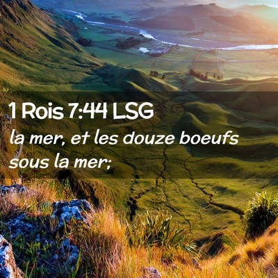 Picture 02 - 1 Rois 7:44 LSG - la mer, et les douze boeufs sous la - Bible Verse Picture