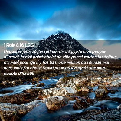 Picture 02 - 1 Rois 8:16 LSG - Depuis le jour où j'ai fait sortir d'Egypte mon - Bible Verse Picture