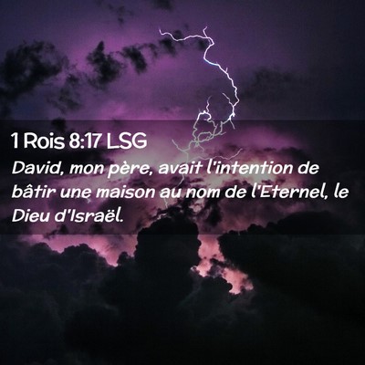 Picture 02 - 1 Rois 8:17 LSG - David, mon père, avait l'intention de bâtir une - Bible Verse Picture