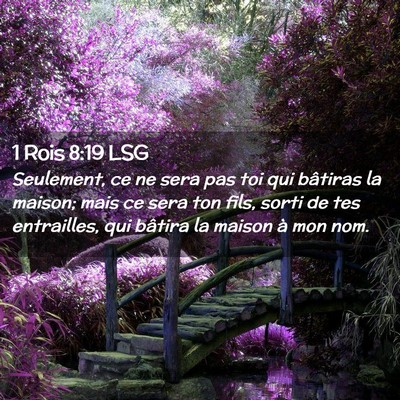 Picture 02 - 1 Rois 8:19 LSG - Seulement, ce ne sera pas toi qui bâtiras la - Bible Verse Picture