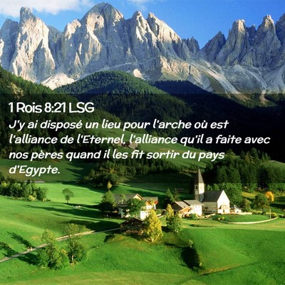 Picture 02 - 1 Rois 8:21 LSG - J'y ai disposé un lieu pour l'arche où est - Bible Verse Picture