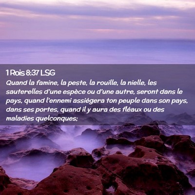 Picture 02 - 1 Rois 8:37 LSG - Quand la famine, la peste, la rouille, la nielle, - Bible Verse Picture