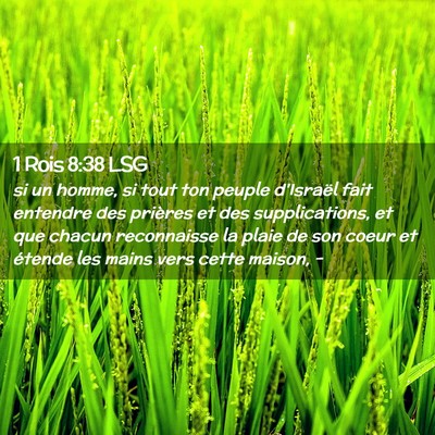 Picture 02 - 1 Rois 8:38 LSG - si un homme, si tout ton peuple d'Israël fait - Bible Verse Picture