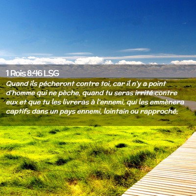 Picture 02 - 1 Rois 8:46 LSG - Quand ils pécheront contre toi, car il n'y a - Bible Verse Picture