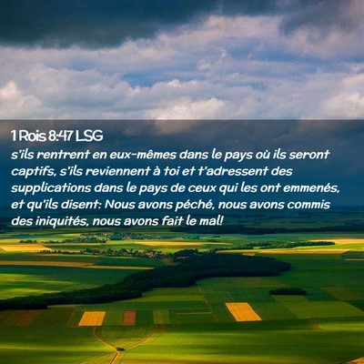 Picture 02 - 1 Rois 8:47 LSG - s'ils rentrent en eux-mêmes dans le pays où ils - Bible Verse Picture