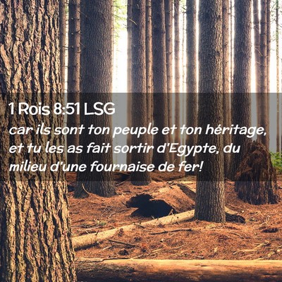 Picture 02 - 1 Rois 8:51 LSG - car ils sont ton peuple et ton héritage, et tu - Bible Verse Picture