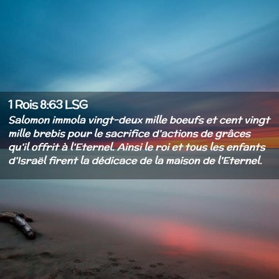 Picture 02 - 1 Rois 8:63 LSG - Salomon immola vingt-deux mille boeufs et cent - Bible Verse Picture