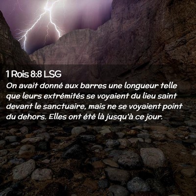 Picture 02 - 1 Rois 8:8 LSG - On avait donné aux barres une longueur telle que - Bible Verse Picture