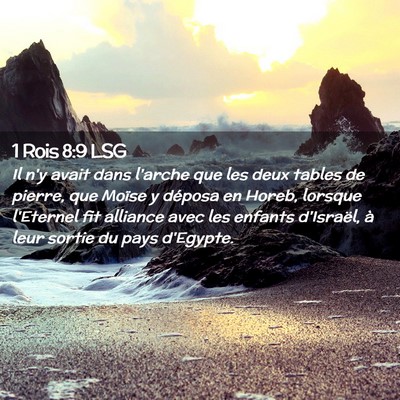 Picture 02 - 1 Rois 8:9 LSG - Il n'y avait dans l'arche que les deux tables de - Bible Verse Picture