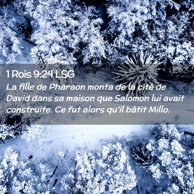 Picture 02 - 1 Rois 9:24 LSG - La fille de Pharaon monta de la cité de David - Bible Verse Picture
