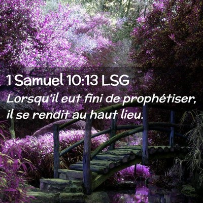 Picture 02 - 1 Samuel 10:13 LSG - Lorsqu'il eut fini de prophétiser, il se rendit - Bible Verse Picture