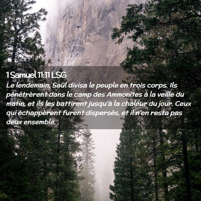 Picture 02 - 1 Samuel 11:11 LSG - Le lendemain, Saül divisa le peuple en trois - Bible Verse Picture