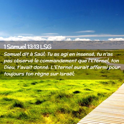 Picture 02 - 1 Samuel 13:13 LSG - Samuel dit à Saül: Tu as agi en insensé, tu - Bible Verse Picture