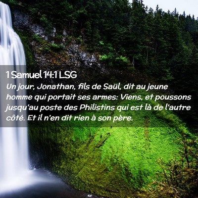 Picture 02 - 1 Samuel 14:1 LSG - Un jour, Jonathan, fils de Saül, dit au jeune - Bible Verse Picture