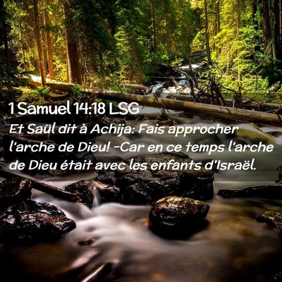 Picture 02 - 1 Samuel 14:18 LSG - Et Saül dit à Achija: Fais approcher l'arche de - Bible Verse Picture