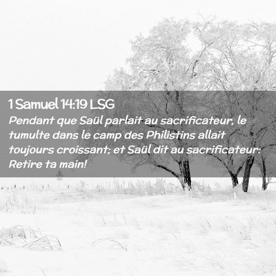 Picture 02 - 1 Samuel 14:19 LSG - Pendant que Saül parlait au sacrificateur, le - Bible Verse Picture