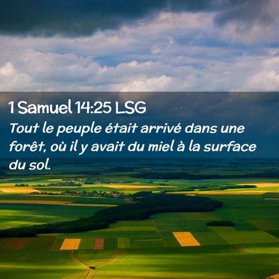 Picture 02 - 1 Samuel 14:25 LSG - Tout le peuple était arrivé dans une forêt, - Bible Verse Picture