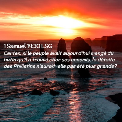 Picture 02 - 1 Samuel 14:30 LSG - Certes, si le peuple avait aujourd'hui mangé du - Bible Verse Picture