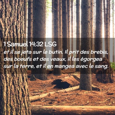 Picture 02 - 1 Samuel 14:32 LSG - et il se jeta sur le butin. Il prit des brebis, - Bible Verse Picture