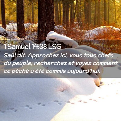 Picture 02 - 1 Samuel 14:38 LSG - Saül dit: Approchez ici, vous tous chefs du - Bible Verse Picture