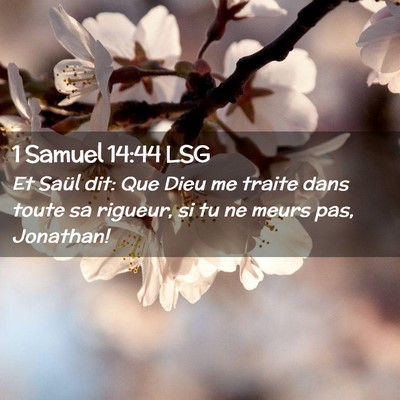 Picture 02 - 1 Samuel 14:44 LSG - Et Saül dit: Que Dieu me traite dans toute sa - Bible Verse Picture