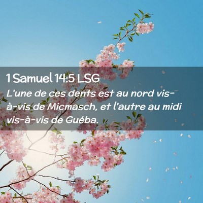 Picture 02 - 1 Samuel 14:5 LSG - L'une de ces dents est au nord vis-à-vis de - Bible Verse Picture