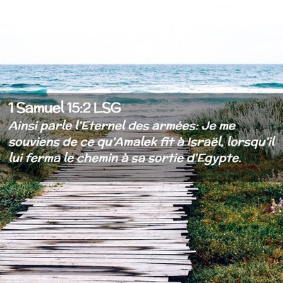 Picture 02 - 1 Samuel 15:2 LSG - Ainsi parle l'Eternel des armées: Je me souviens - Bible Verse Picture