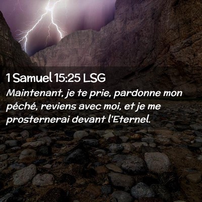 Picture 02 - 1 Samuel 15:25 LSG - Maintenant, je te prie, pardonne mon péché, - Bible Verse Picture