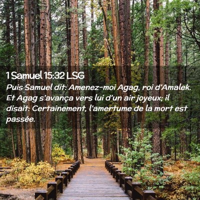 Picture 02 - 1 Samuel 15:32 LSG - Puis Samuel dit: Amenez-moi Agag, roi d'Amalek. - Bible Verse Picture