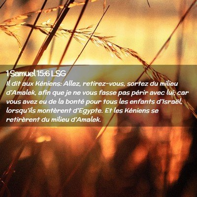 Picture 02 - 1 Samuel 15:6 LSG - Il dit aux Kéniens: Allez, retirez-vous, sortez - Bible Verse Picture