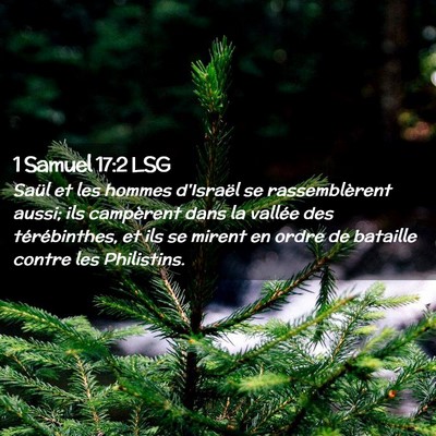 Picture 02 - 1 Samuel 17:2 LSG - Saül et les hommes d'Israël se rassemblèrent - Bible Verse Picture