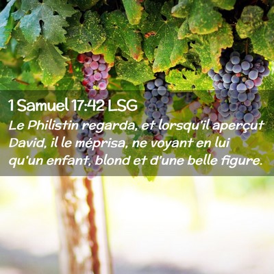Picture 02 - 1 Samuel 17:42 LSG - Le Philistin regarda, et lorsqu'il aperçut - Bible Verse Picture