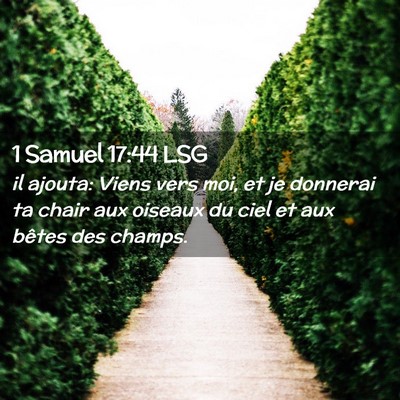 Picture 02 - 1 Samuel 17:44 LSG - il ajouta: Viens vers moi, et je donnerai ta - Bible Verse Picture