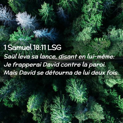 Picture 02 - 1 Samuel 18:11 LSG - Saül leva sa lance, disant en lui-même: Je - Bible Verse Picture