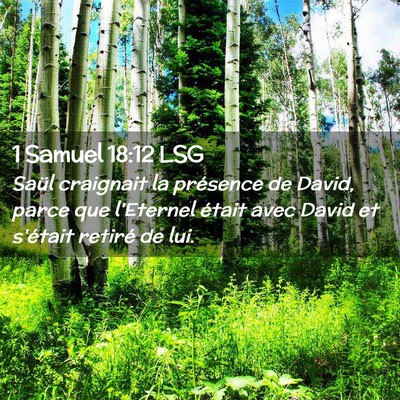 Picture 02 - 1 Samuel 18:12 LSG - Saül craignait la présence de David, parce que - Bible Verse Picture