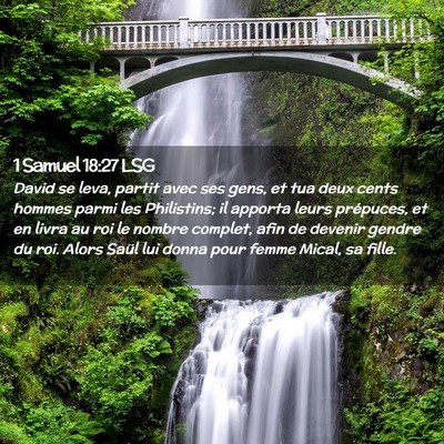 Picture 02 - 1 Samuel 18:27 LSG - David se leva, partit avec ses gens, et tua deux - Bible Verse Picture