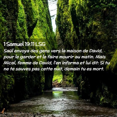 Picture 02 - 1 Samuel 19:11 LSG - Saül envoya des gens vers la maison de David, - Bible Verse Picture