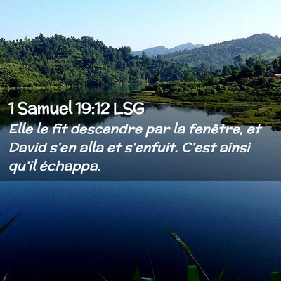 Picture 02 - 1 Samuel 19:12 LSG - Elle le fit descendre par la fenêtre, et David - Bible Verse Picture
