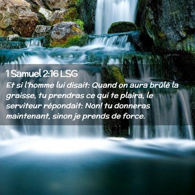 Picture 02 - 1 Samuel 2:16 LSG - Et si l'homme lui disait: Quand on aura brûlé - Bible Verse Picture
