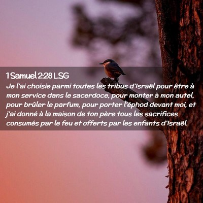 Picture 02 - 1 Samuel 2:28 LSG - Je l'ai choisie parmi toutes les tribus d'Israël - Bible Verse Picture