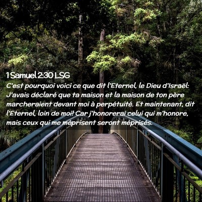 Picture 02 - 1 Samuel 2:30 LSG - C'est pourquoi voici ce que dit l'Eternel, le - Bible Verse Picture
