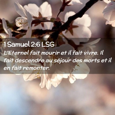 Picture 02 - 1 Samuel 2:6 LSG - L'Eternel fait mourir et il fait vivre. Il fait - Bible Verse Picture