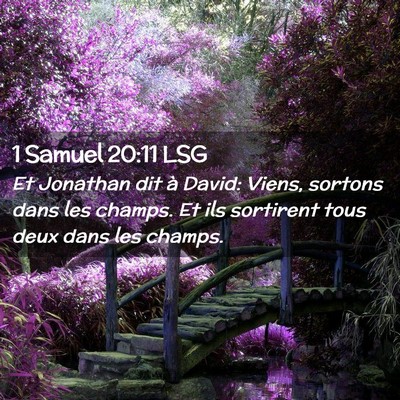 Picture 02 - 1 Samuel 20:11 LSG - Et Jonathan dit à David: Viens, sortons dans les - Bible Verse Picture