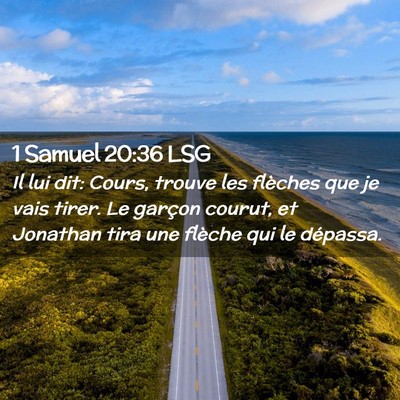 Picture 02 - 1 Samuel 20:36 LSG - Il lui dit: Cours, trouve les flèches que je - Bible Verse Picture