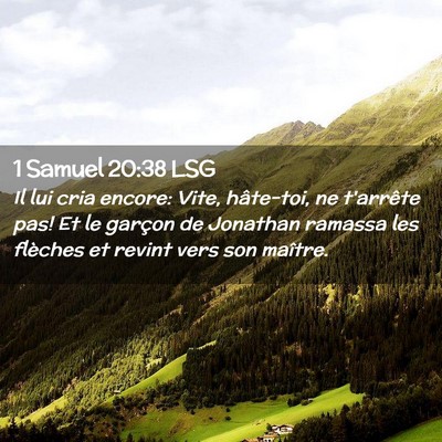 Picture 02 - 1 Samuel 20:38 LSG - Il lui cria encore: Vite, hâte-toi, ne t'arrête - Bible Verse Picture
