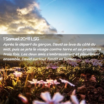 Picture 02 - 1 Samuel 20:41 LSG - Après le départ du garçon, David se leva du - Bible Verse Picture